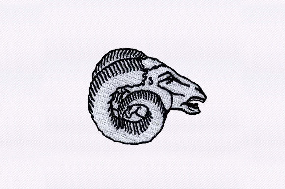 Bighorn Sheep Face